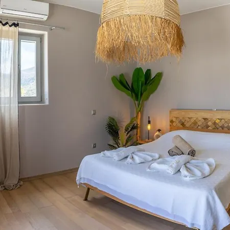 Luxury Delphinus - Allparos