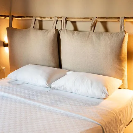 Luxury Delphinus - Allparos